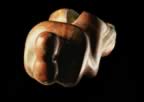 Immagine 45.jpg (13kb)